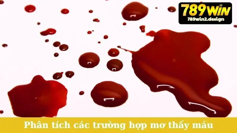 Phân tích các trường hợp mơ thấy máu